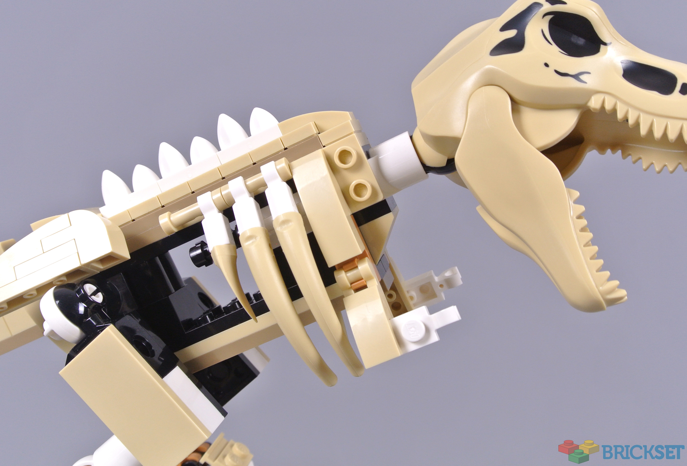ELDRESO Bone Dinosaur Long エルドレッソ LOZ 9024 Dinosaur Mosasaurus - LOZ Blocks Official Store